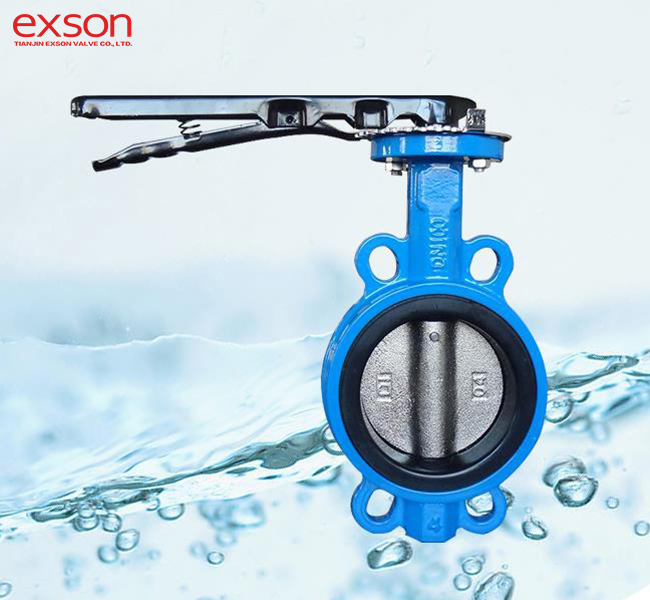3 Inch Butterfly Valve